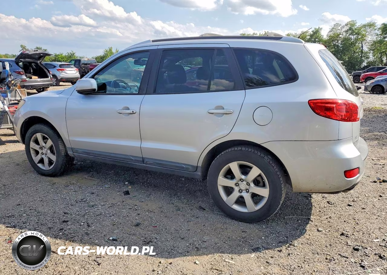 2009 Hyundai Santa Fe Se VIN:5NMSH13E69H298193 - 2