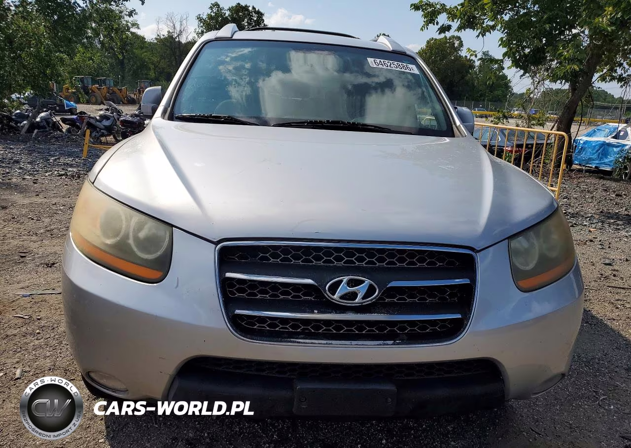 2009 Hyundai Santa Fe Se VIN:5NMSH13E69H298193 - 5