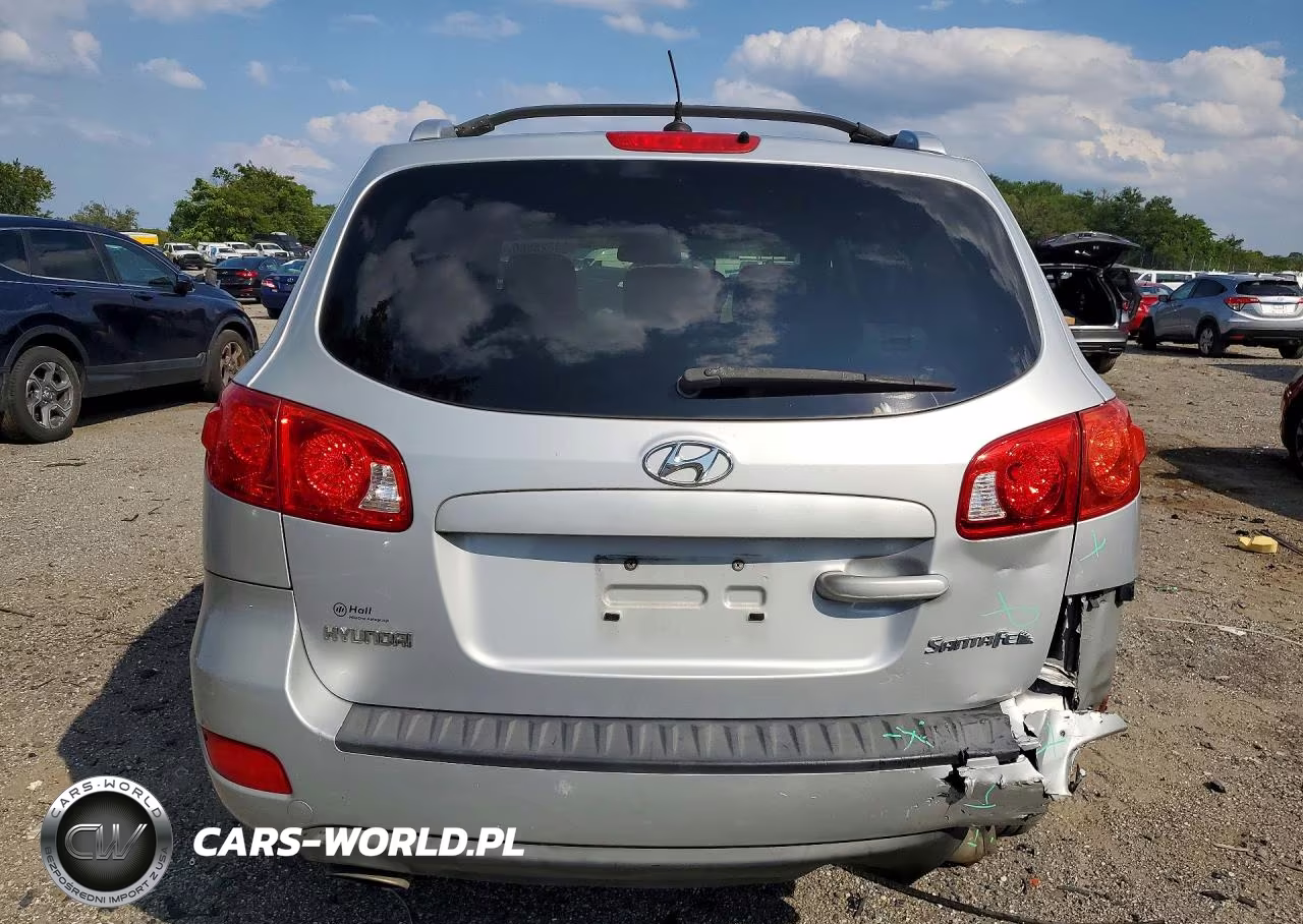 2009 Hyundai Santa Fe Se VIN:5NMSH13E69H298193 - 6
