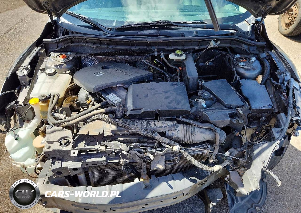 2010 Mazda 3 I VIN:JM1BL1SG3A1204075 - 11