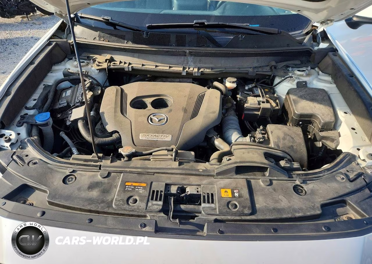 2019 Mazda Cx-9 Touring VIN:JM3TCACY1K0321177 - 12
