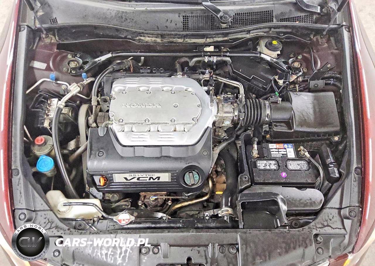 2010 Honda Accord Exl VIN:5KBCP3F8XAB004178 - 11