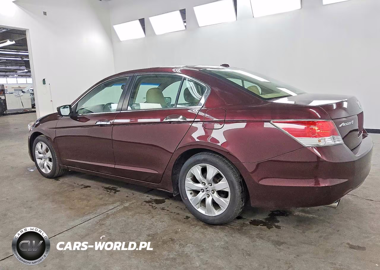 2010 Honda Accord Exl VIN:5KBCP3F8XAB004178 - 2