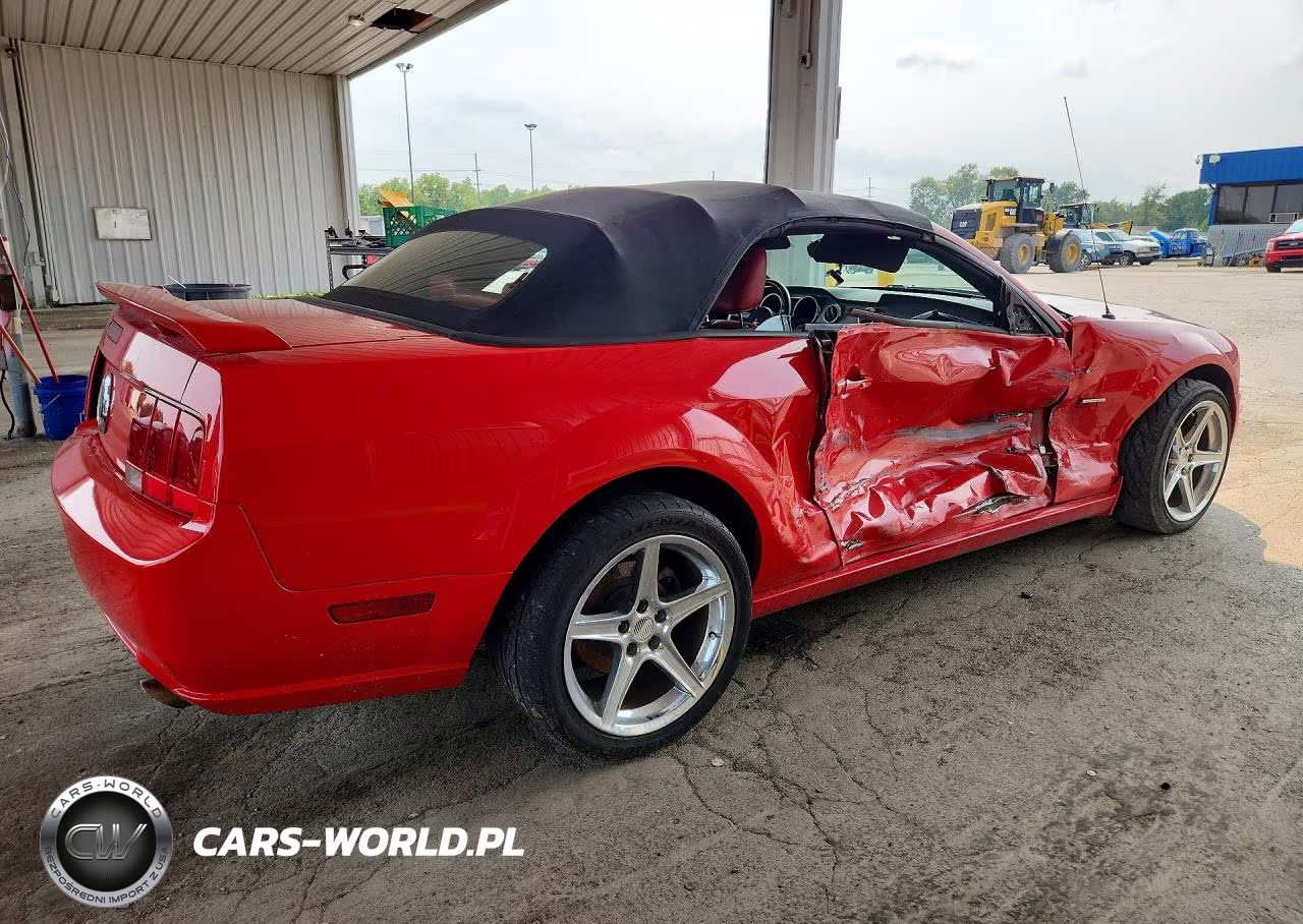 2006 Ford Mustang Gt VIN:1ZVHT85H965156117 - 3