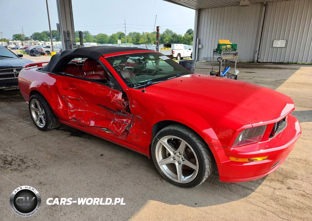 2006 Ford Mustang Gt VIN:1ZVHT85H965156117 - 4