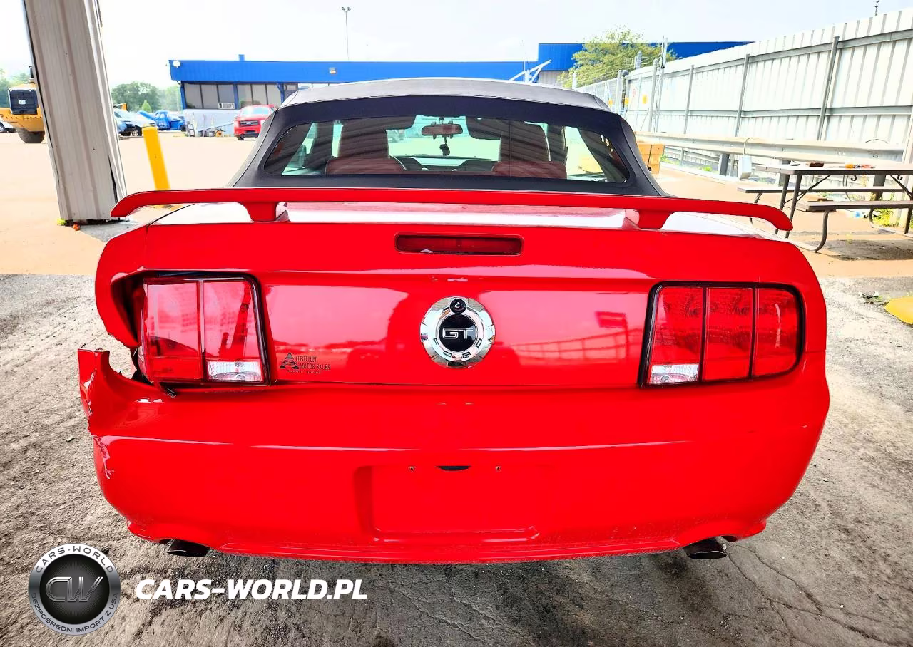 2006 Ford Mustang Gt VIN:1ZVHT85H965156117 - 6