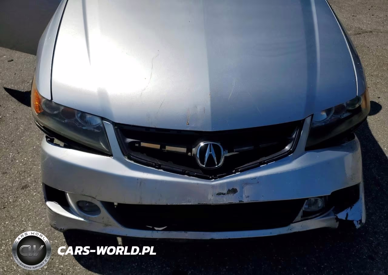 2008 Acura Tsx VIN:JH4CL969X8C010042 - 11