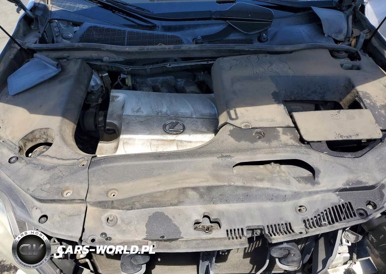 2010 Lexus Rx 350 VIN:JTJBK1BA0A2003059 - 12