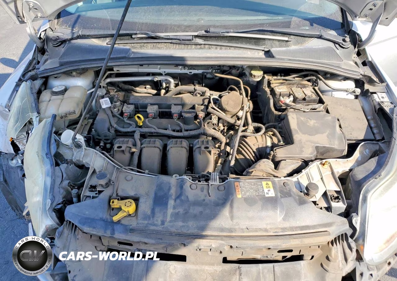 2014 Ford Focus Se VIN:1FADP3K2XEL317714 - 11