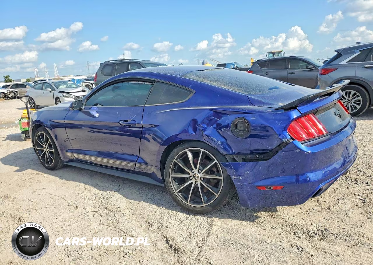 2016 Ford Mustang VIN:1FA6P8TH6G5298854 - 2