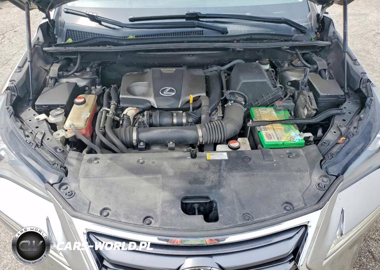 2015 Lexus Nx 200T VIN:JTJBARBZ5F2036136 - 12