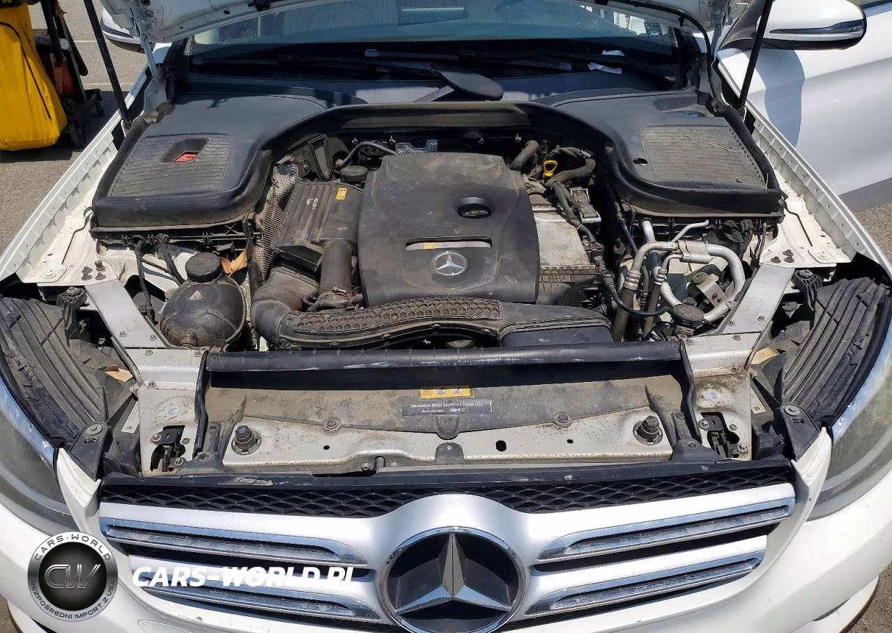 2017 Mercedes-Benz Glc 300 VIN:WDC0G4JB6HF165041 - 12