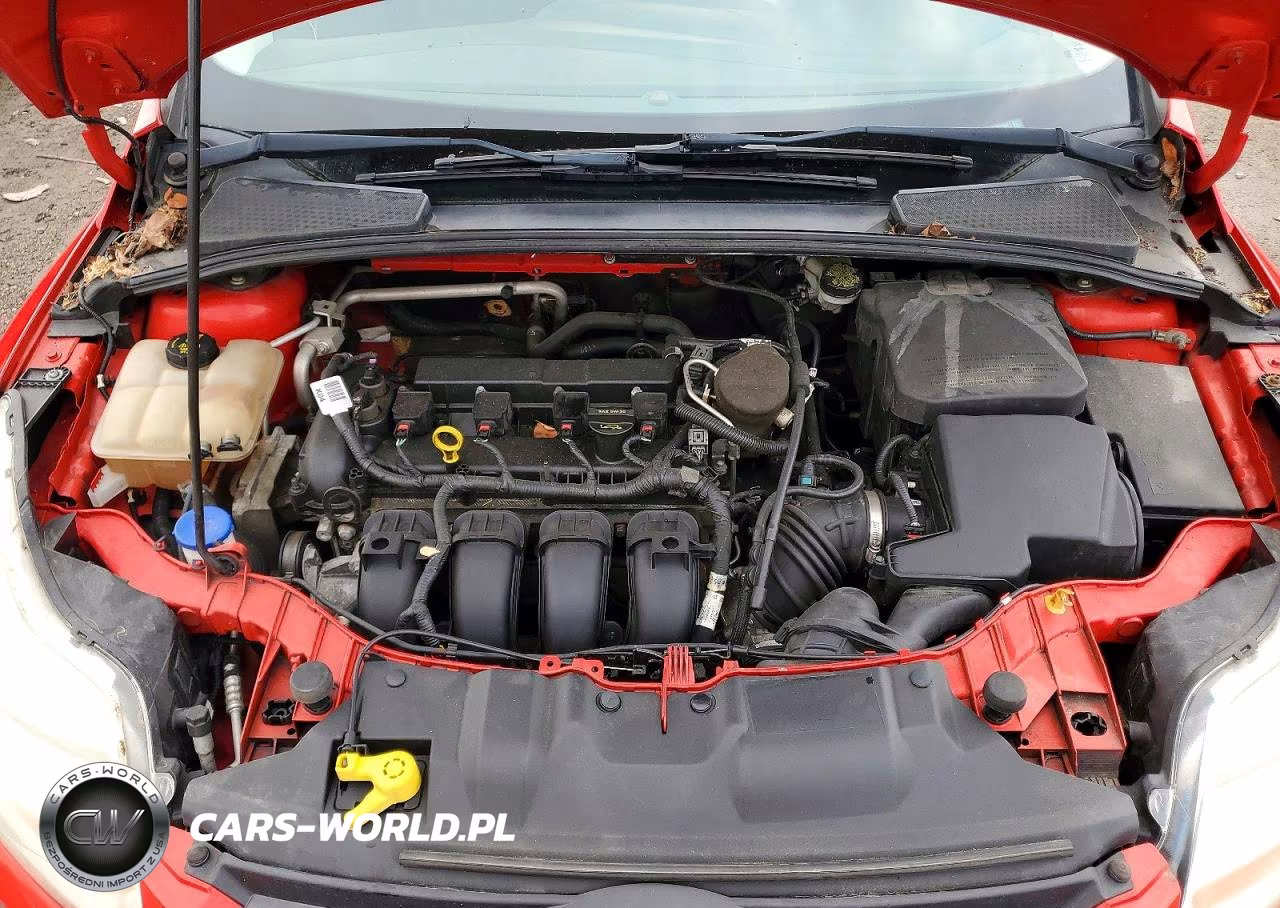 FORD FOCUS SE VIN:1FADP3F23EL270004 - 11