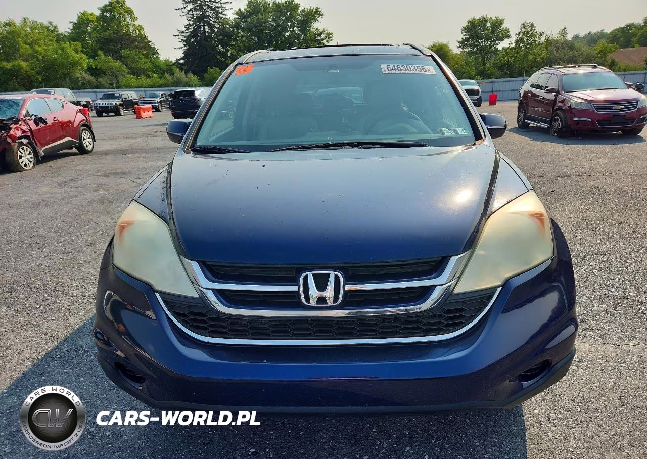 2010 Honda Cr-V Exl VIN:5J6RE4H79AL062864 - 5