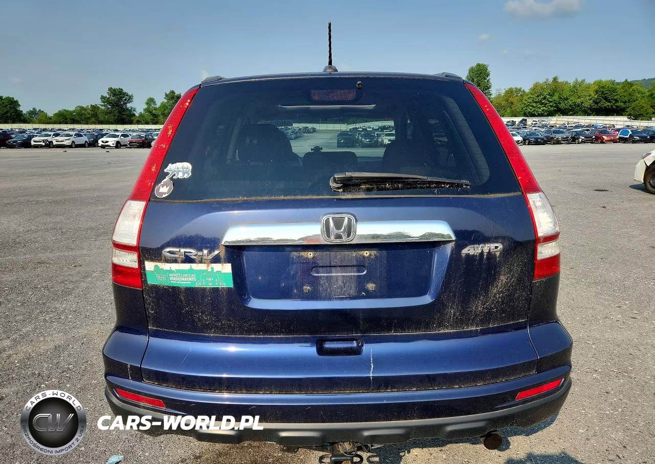 2010 Honda Cr-V Exl VIN:5J6RE4H79AL062864 - 6