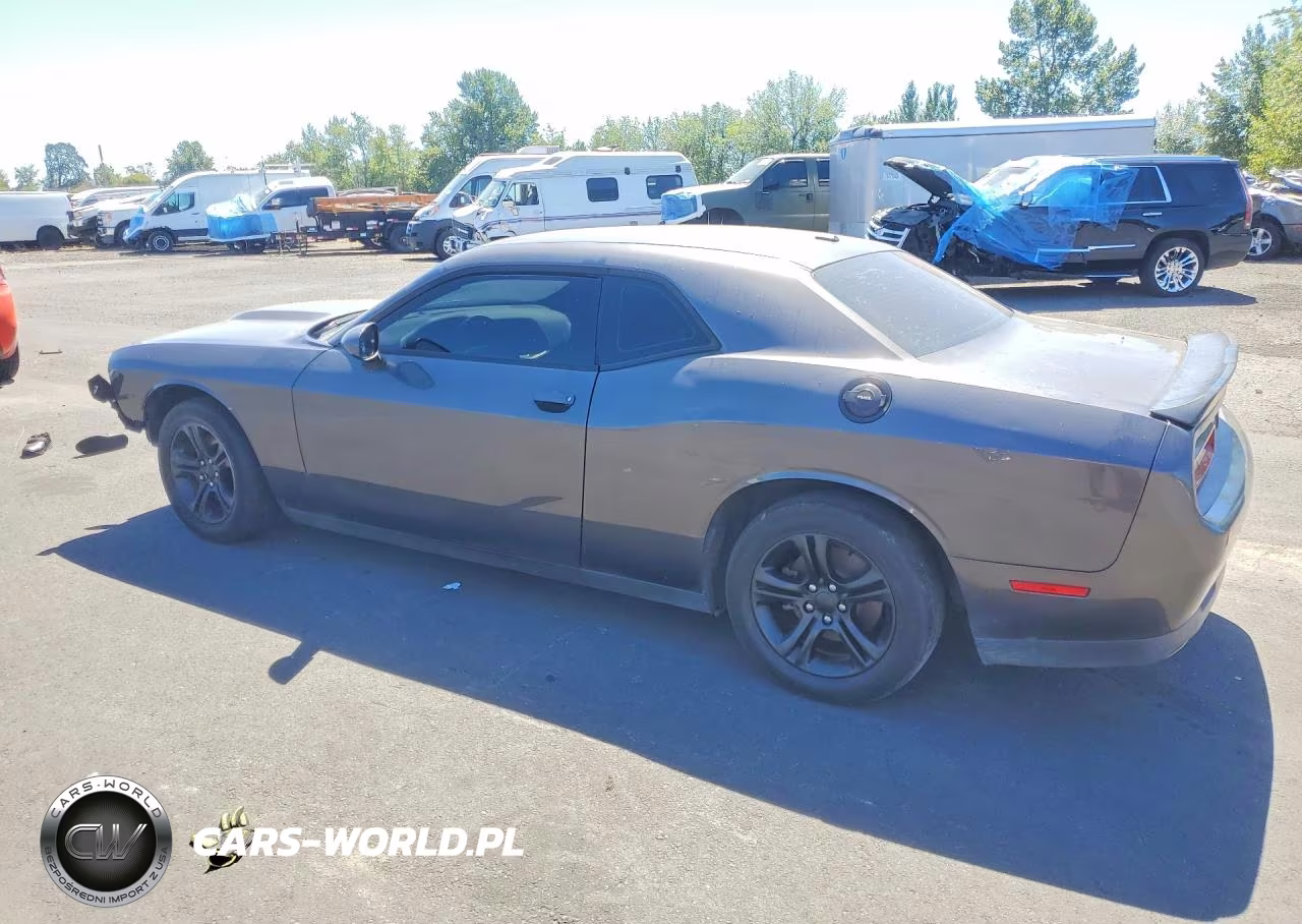 2019 Dodge Challenger Gt VIN:2C3CDZJG7KH737314 - 2