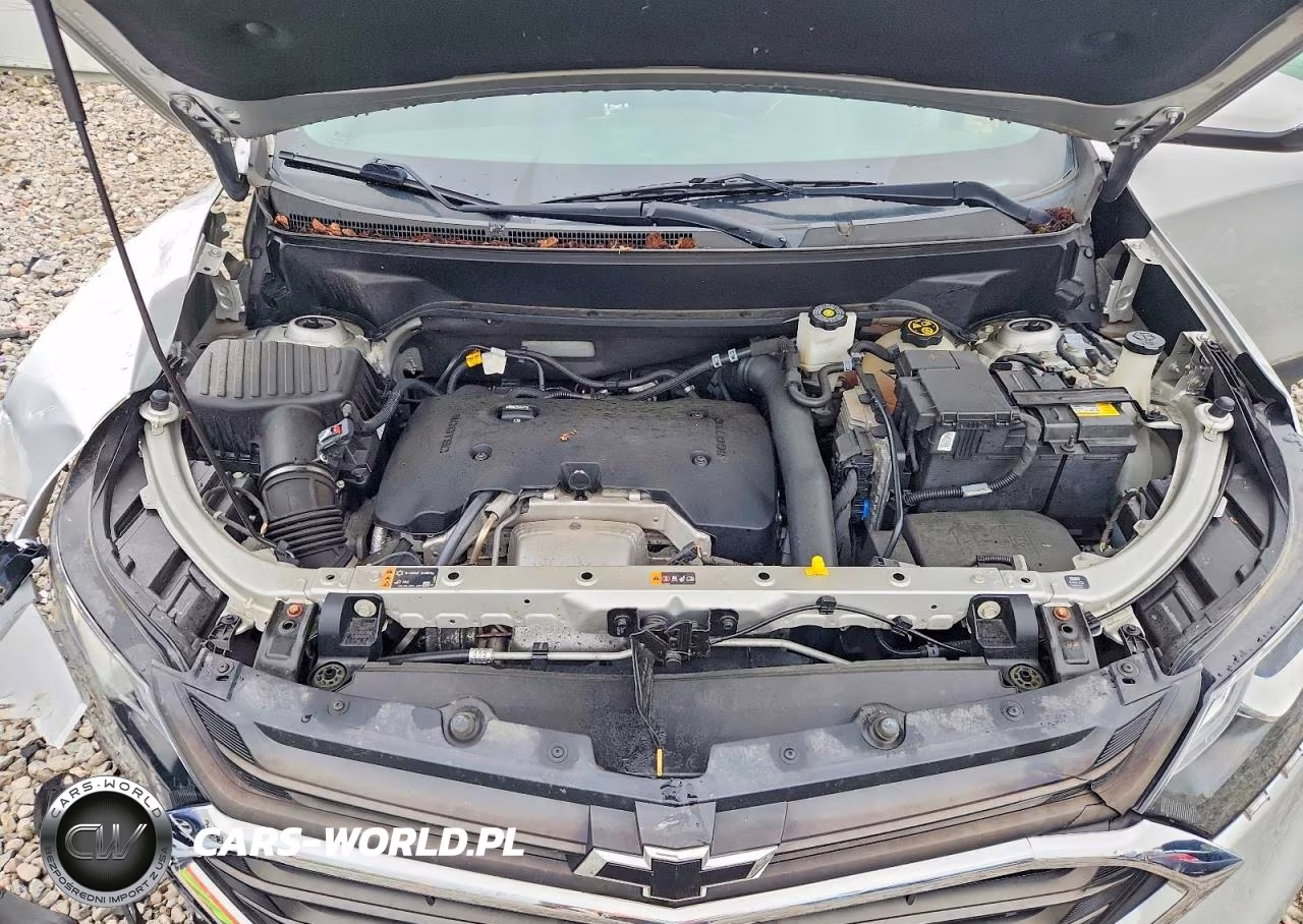 2019 Chevrolet Equinox Lt VIN:3GNAXVEX3KS646204 - 12