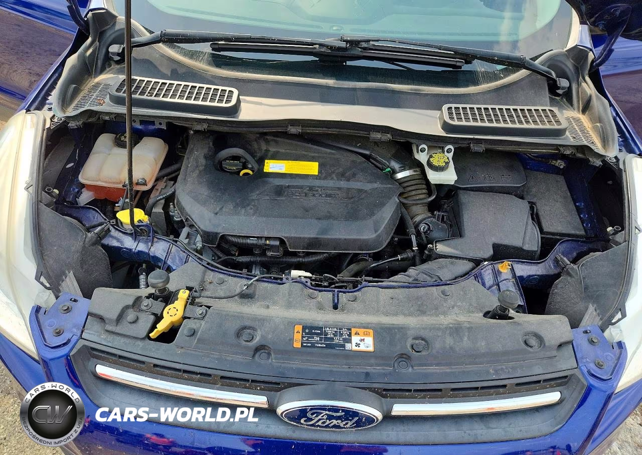 2015 Ford Escape Se VIN:1FMCU0GX4FUC37527 - 12