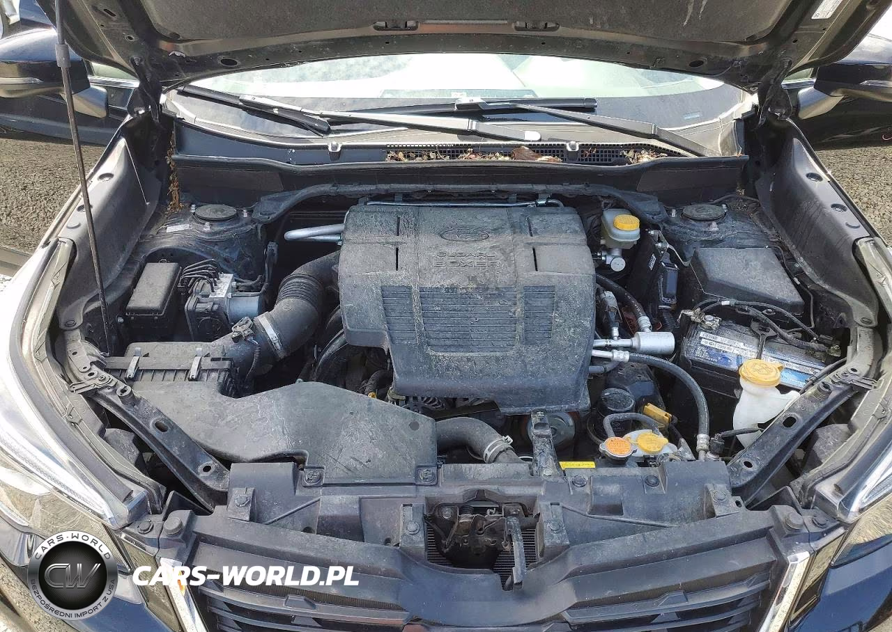 2019 Subaru Forester Limited VIN:JF2SKAUC3KH556967 - 12