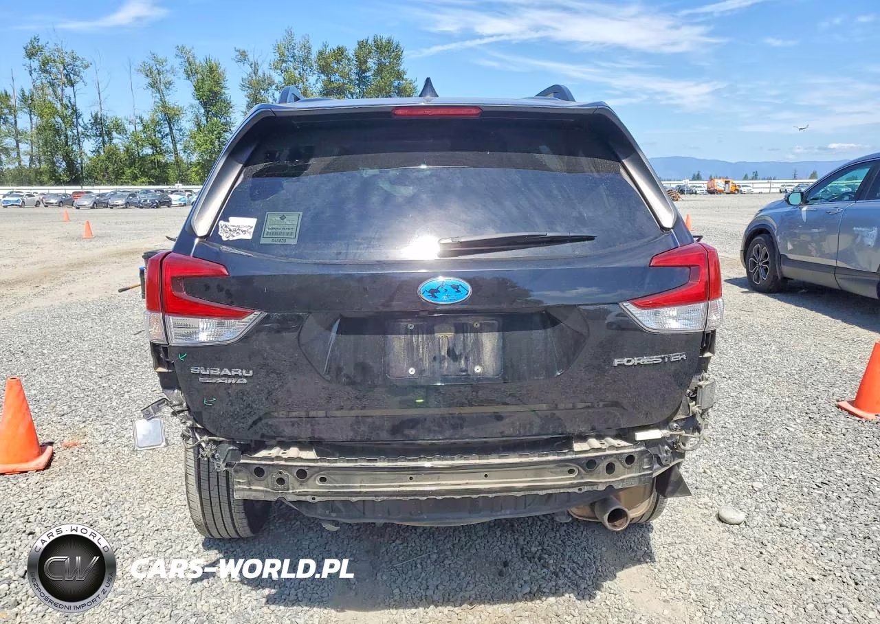 2019 Subaru Forester Limited VIN:JF2SKAUC3KH556967 - 6