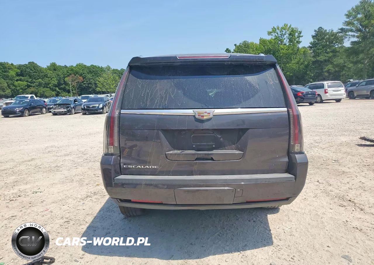 2016 Cadillac Escalade Esv Luxury VIN:1GYS4HKJXGR102374 - 6