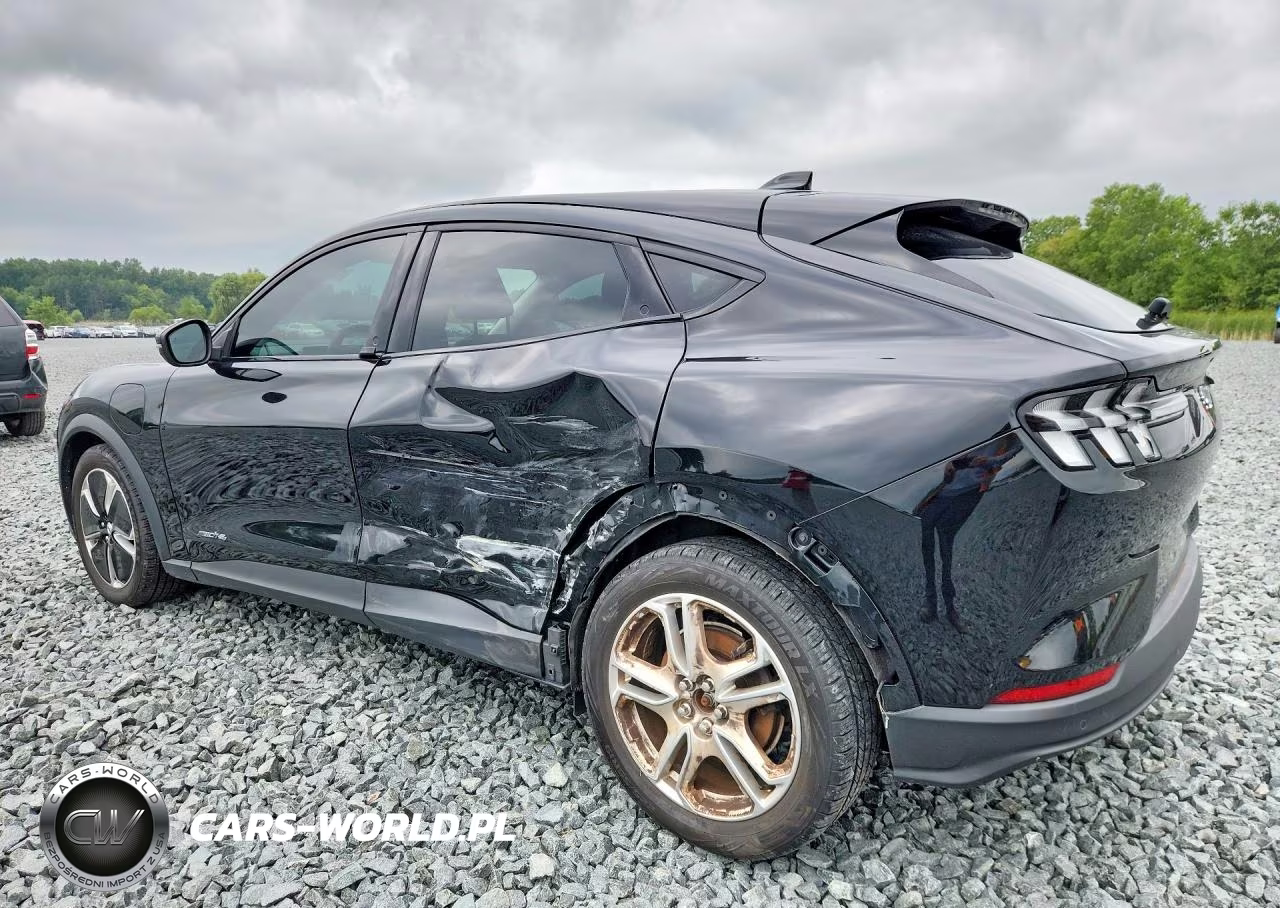 2021 Ford Mustang Mach-E Select VIN:3FMTK1SS2MMA59013 - 2