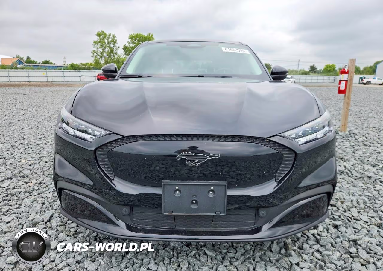 2021 Ford Mustang Mach-E Select VIN:3FMTK1SS2MMA59013 - 5