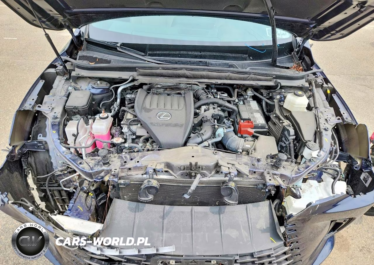 2024 Lexus Rx 350 Premium VIN:2T2BAMCAXRC073683 - 12