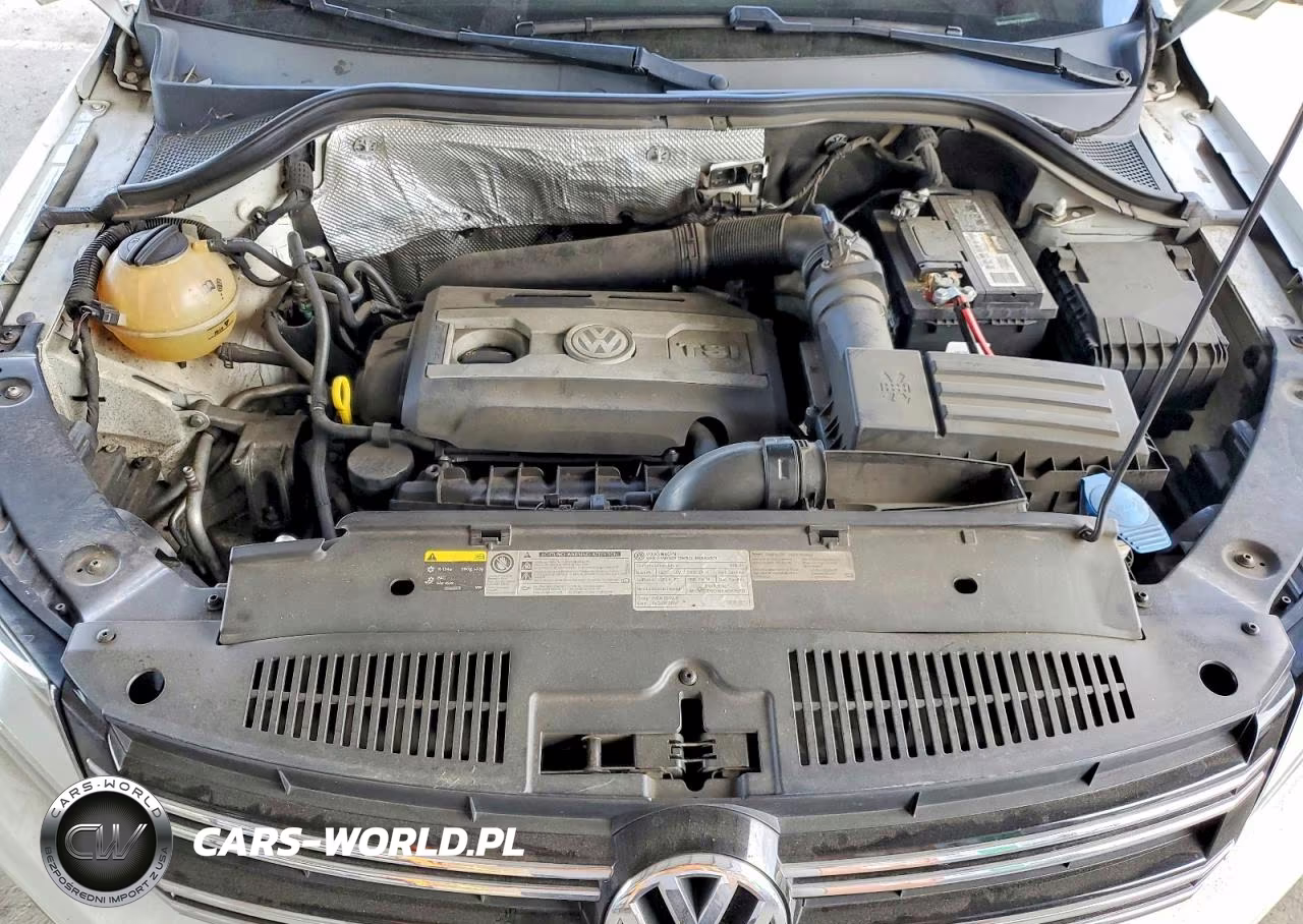 2015 Volkswagen Tiguan S VIN:WVGAV7AX7FW564031 - 12