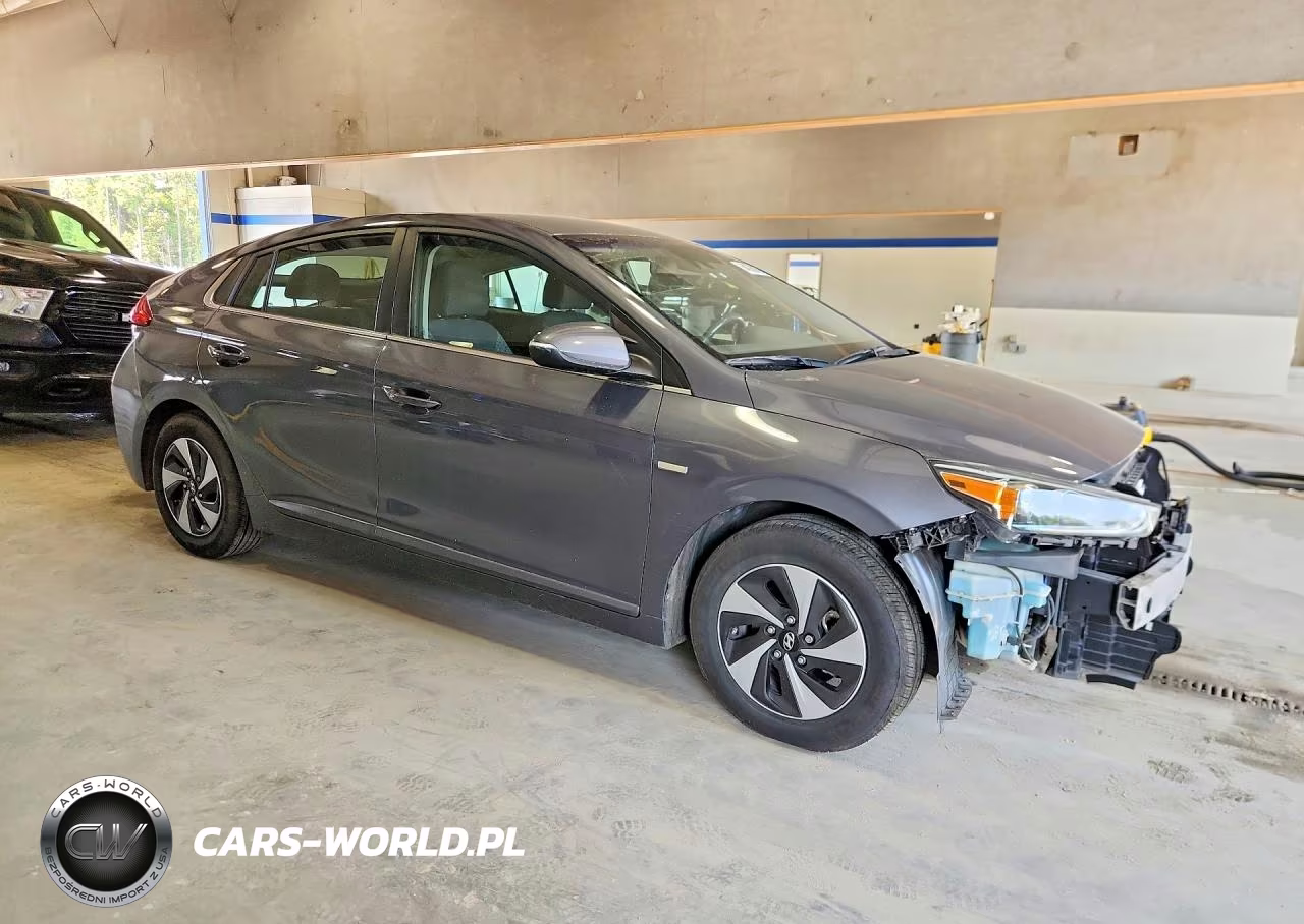 2018 Hyundai Ioniq Sel VIN:KMHC75LC0JU062211 - 4