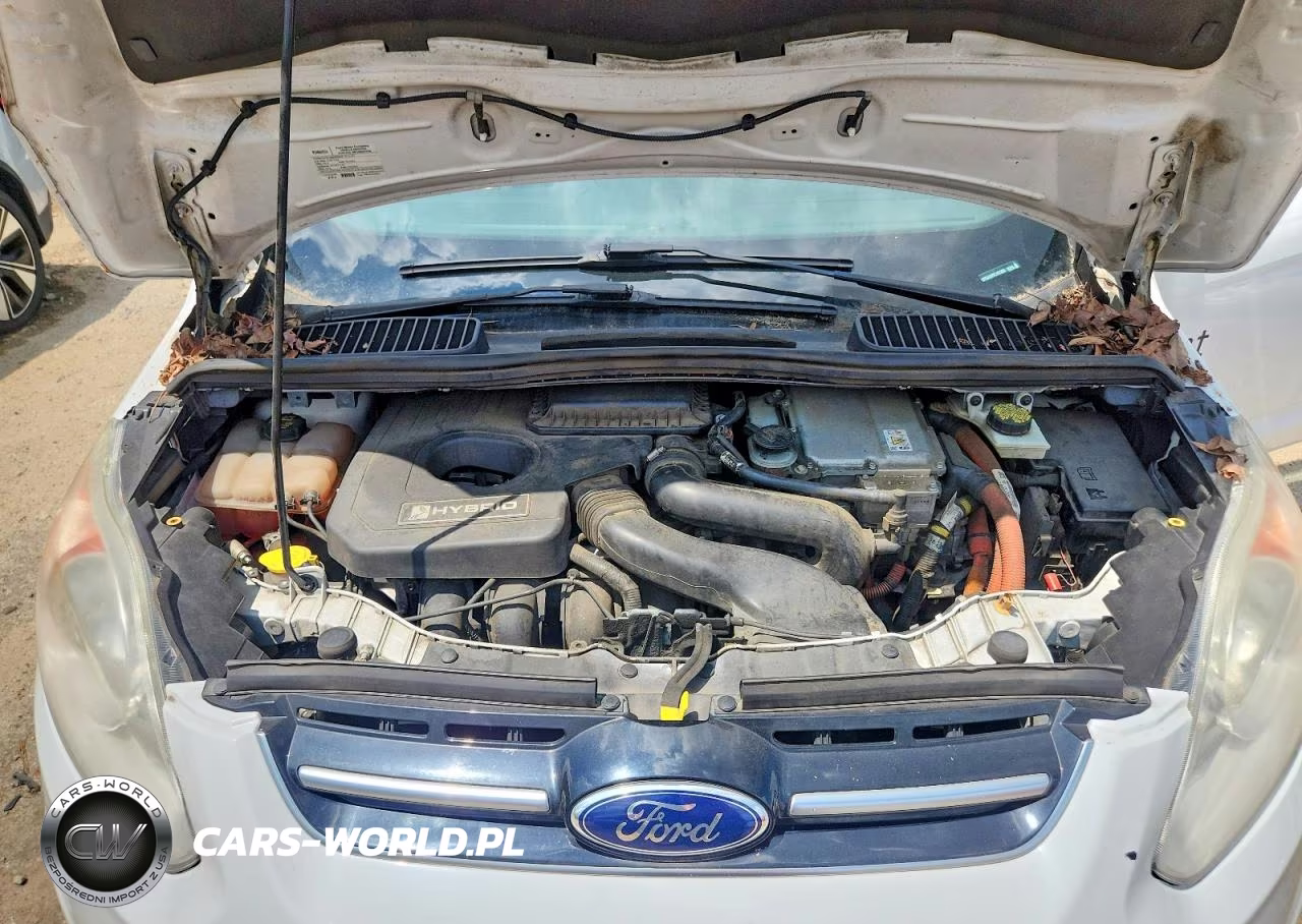 2015 Ford C-Max Se VIN:1FADP5AU7FL101268 - 12