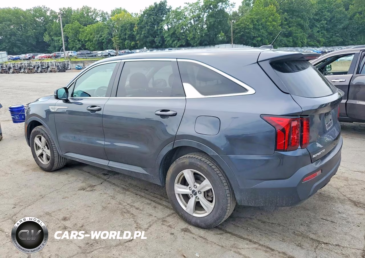 2023 Kia Sorento Lx VIN:5XYRGDLC7PG184485 - 2