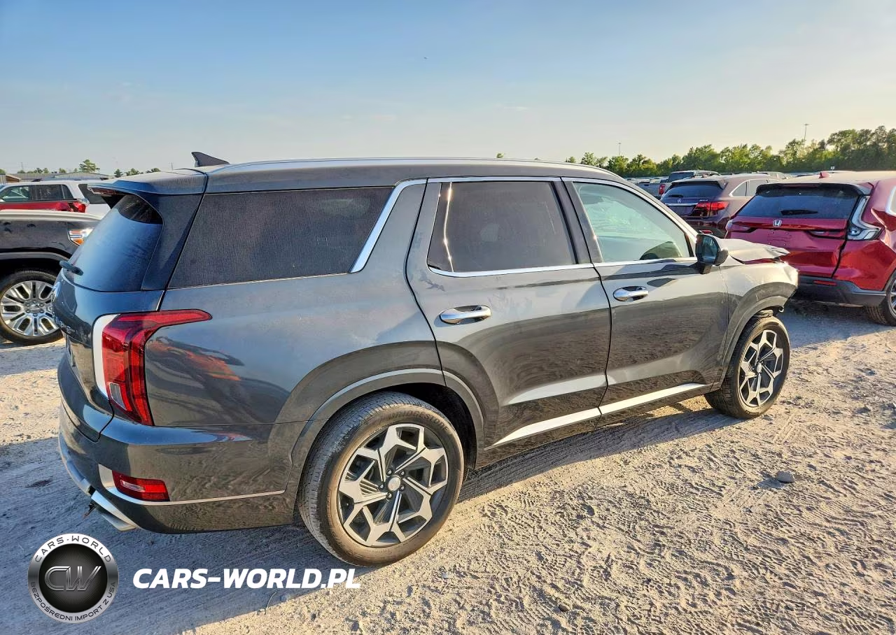 2022 Hyundai Palisade Calligraphy VIN:KM8R74HE6NU463587 - 3