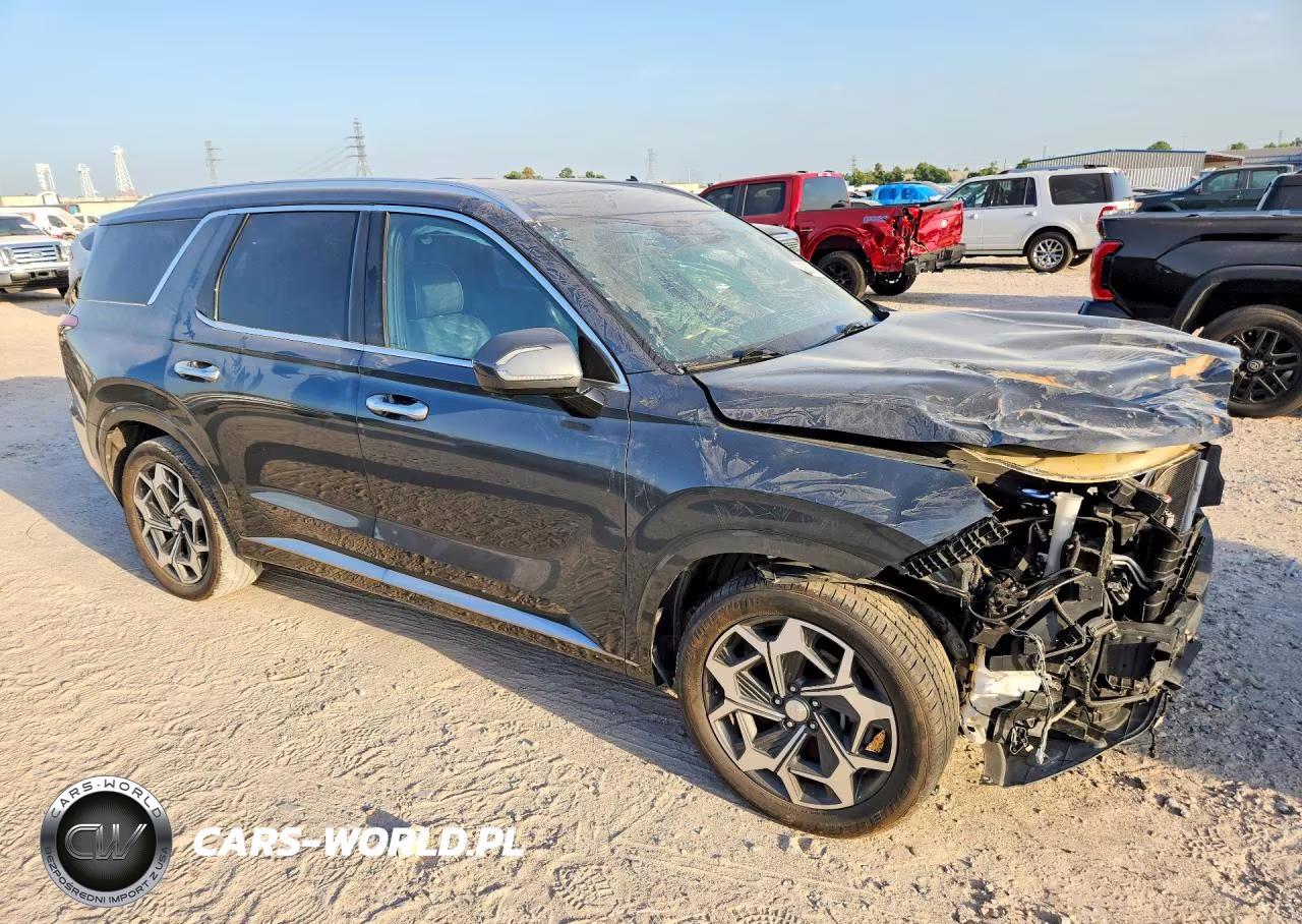 2022 Hyundai Palisade Calligraphy VIN:KM8R74HE6NU463587 - 4