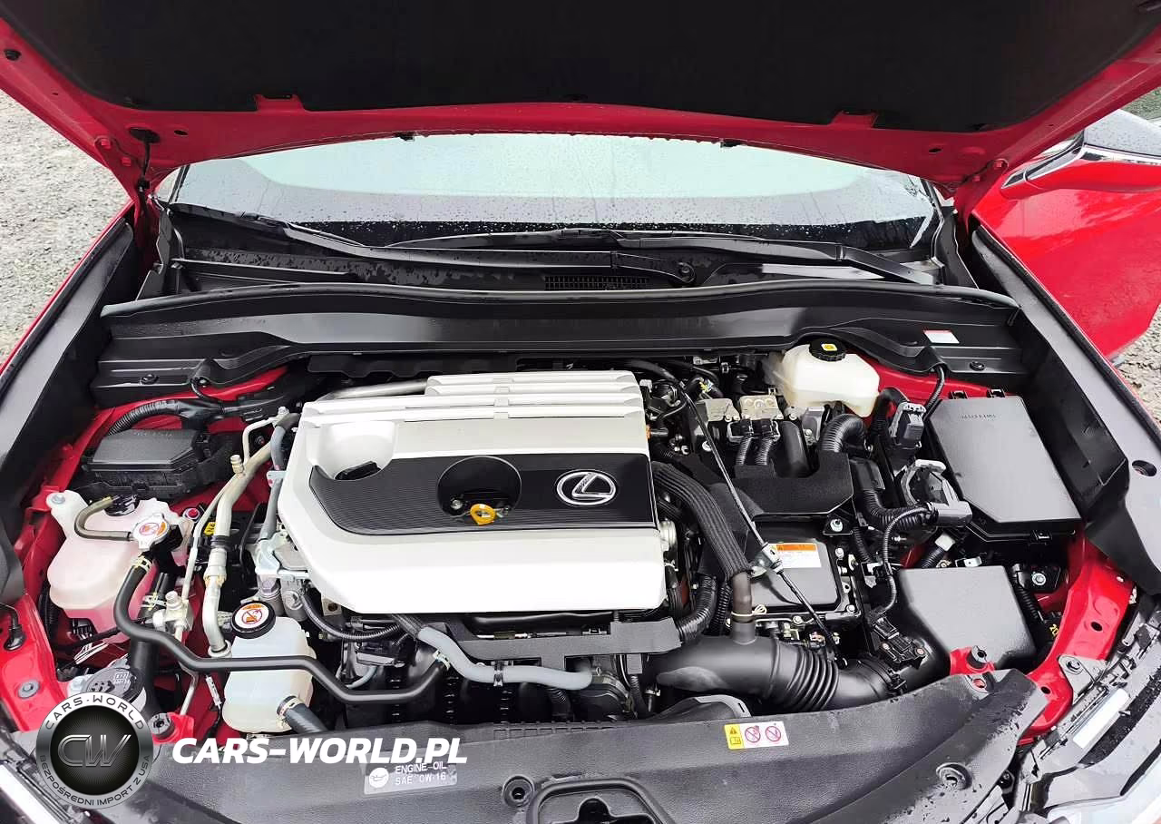 2023 Lexus Ux 250H Base VIN:JTHB9JBH5P2067701 - 12