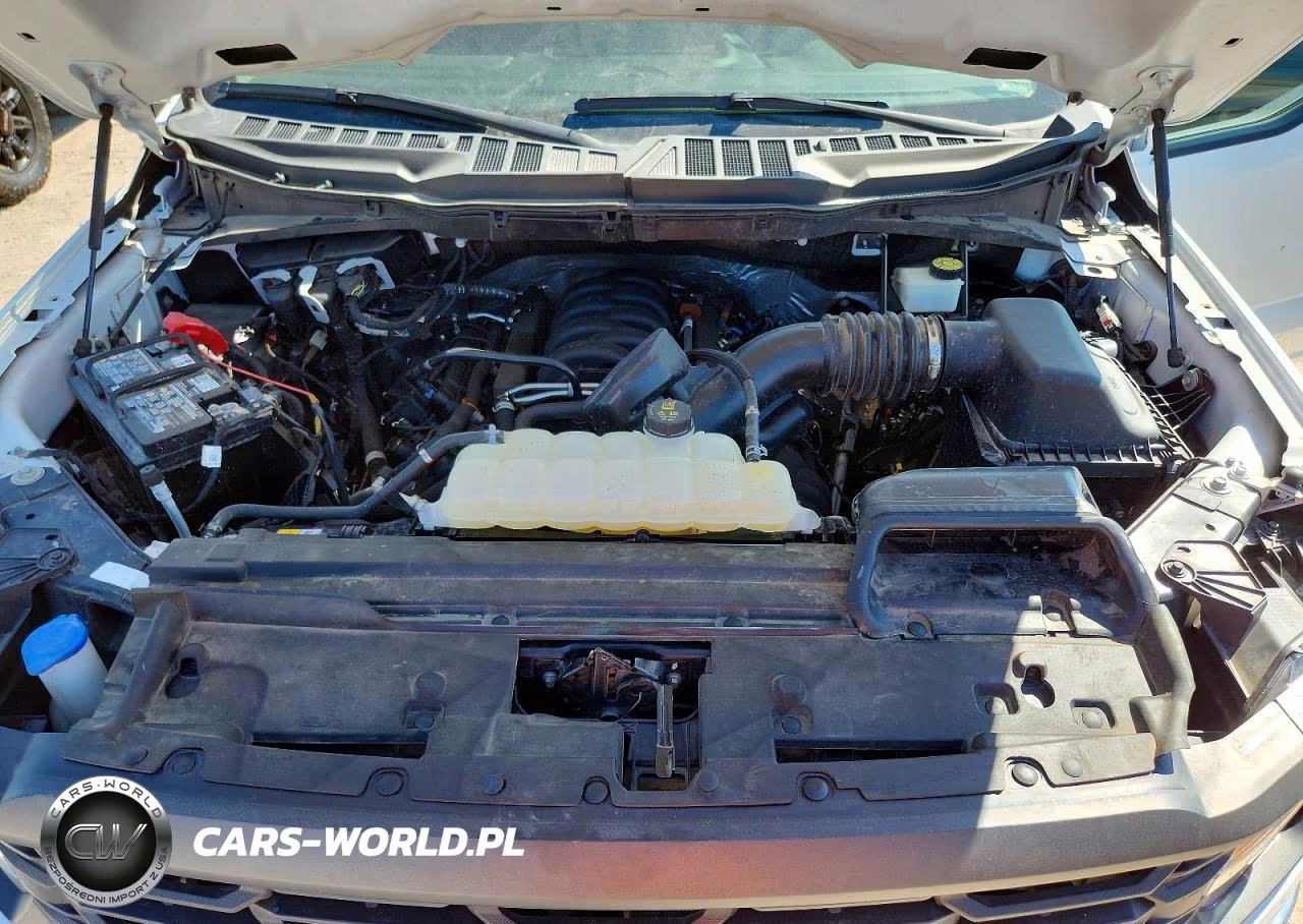 2024 Ford F150 Xl VIN:1FTFW1L55RKD66110 - 11