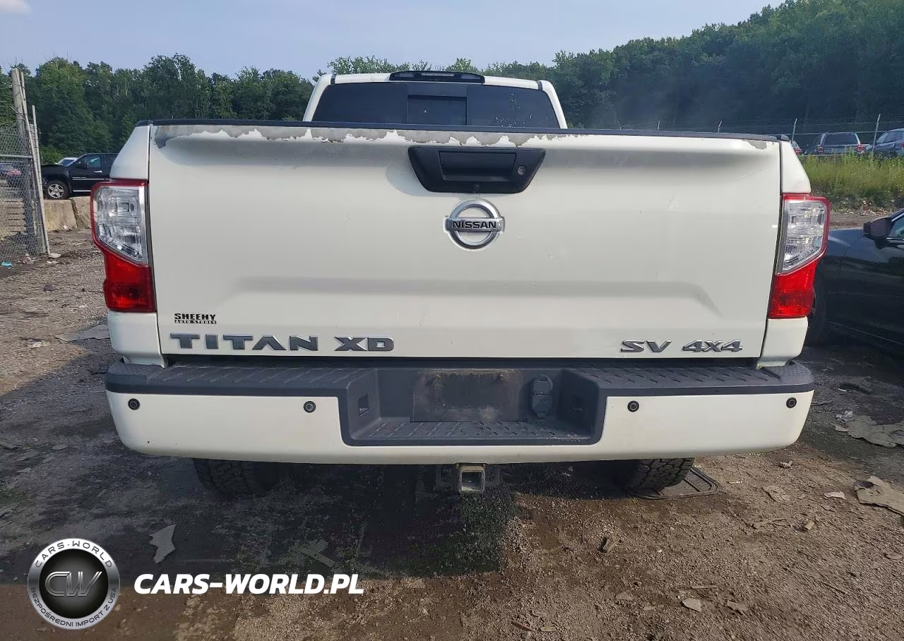 2017 Nissan Titan Xd Sv VIN:1N6BA1RP1HN537869 - 10