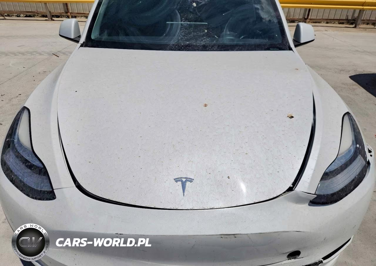 2021 Tesla Model Y VIN:5YJYGDEE7MF279335 - 11