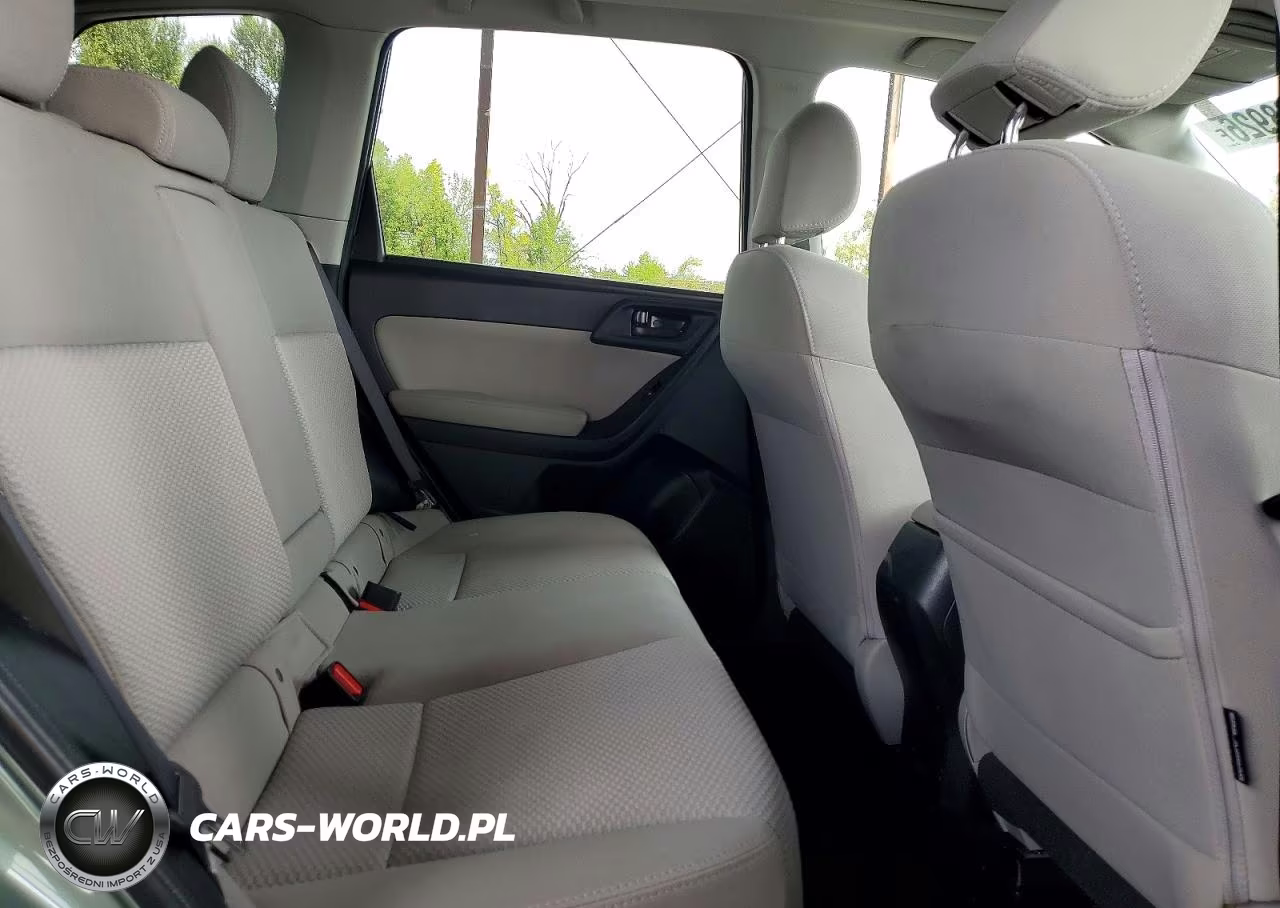 2016 Subaru Forester 2.5I Premium VIN:JF2SJADC7GH480289 - 10