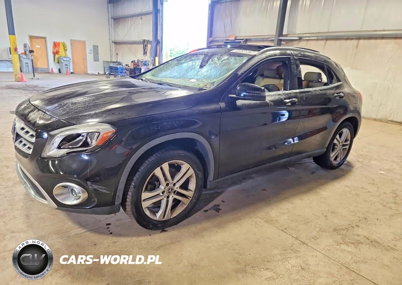 2020 Mercedes-Benz Gla 250 4Matic VIN:W1NTG4GBXLJ698356 - 1