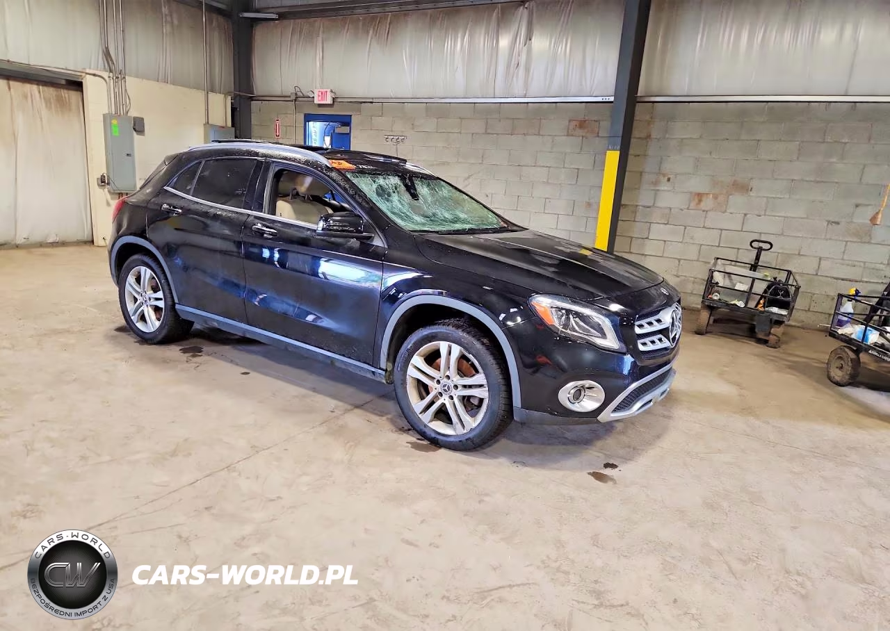 2020 Mercedes-Benz Gla 250 4Matic VIN:W1NTG4GBXLJ698356 - 4