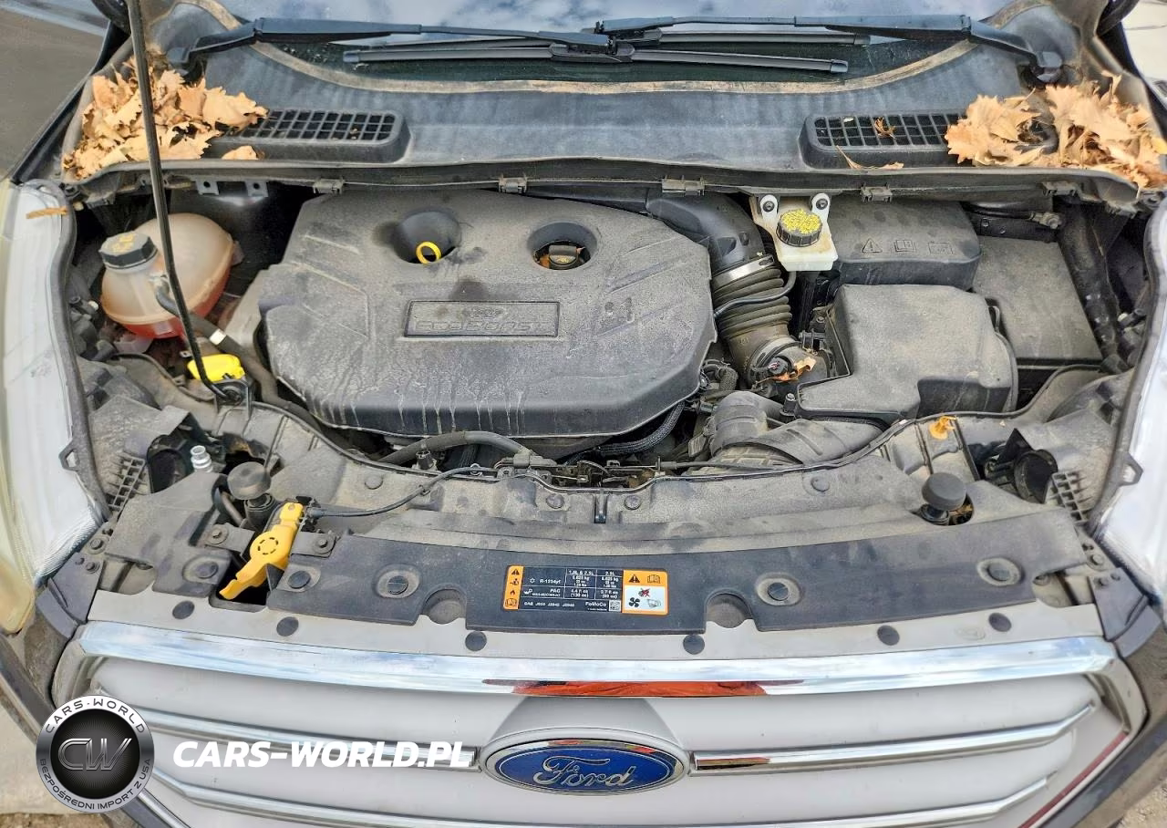 2018 Ford Escape Se VIN:1FMCU0G98JUC38500 - 12