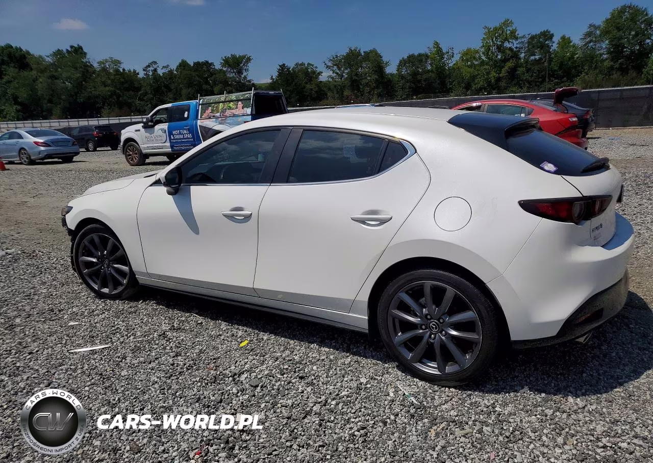2019 Mazda 3 Preferred Plus VIN:JM1BPALM8K1108923 - 2