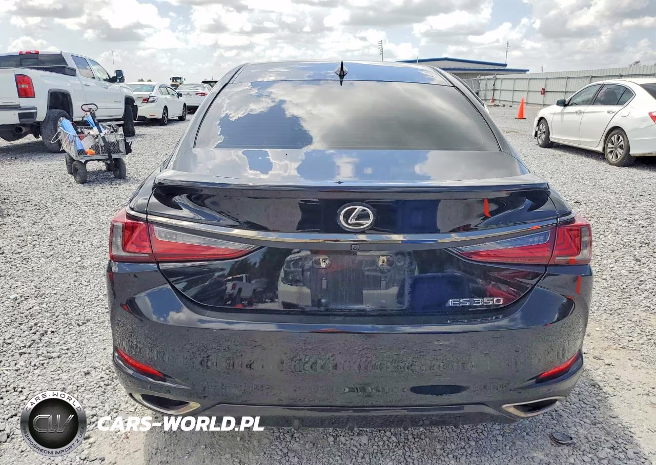 2023 Lexus Es 350 F Sport Handling VIN:58AJZ1B16PU158971 - 6