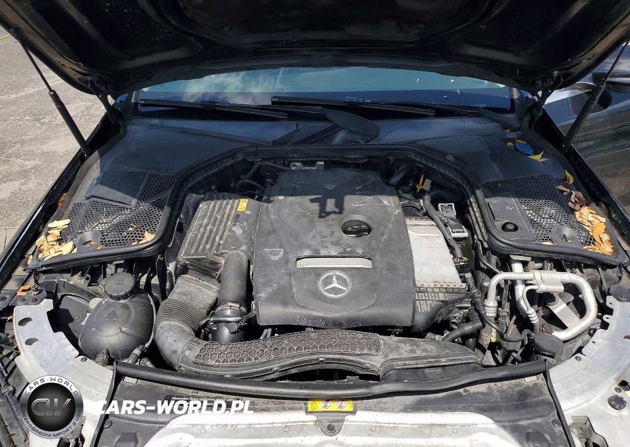 2017 Mercedes-Benz C 300 VIN:55SWF4JB0HU211095 - 11