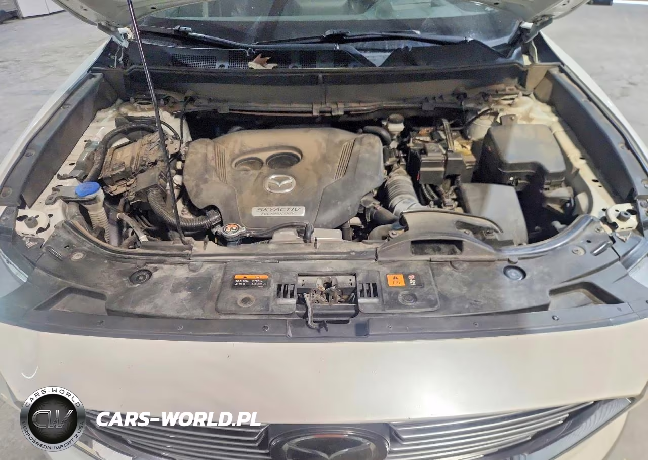 2019 Mazda Cx-9 Grand Touring VIN:JM3TCBDY5K0310123 - 12