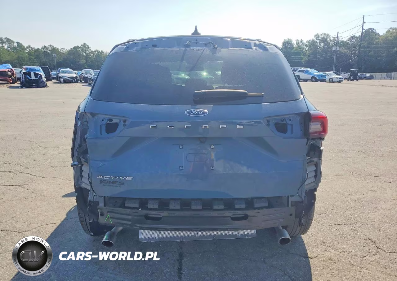 2025 Ford Escape Active VIN:1FMCU0GN1SUA71881 - 6