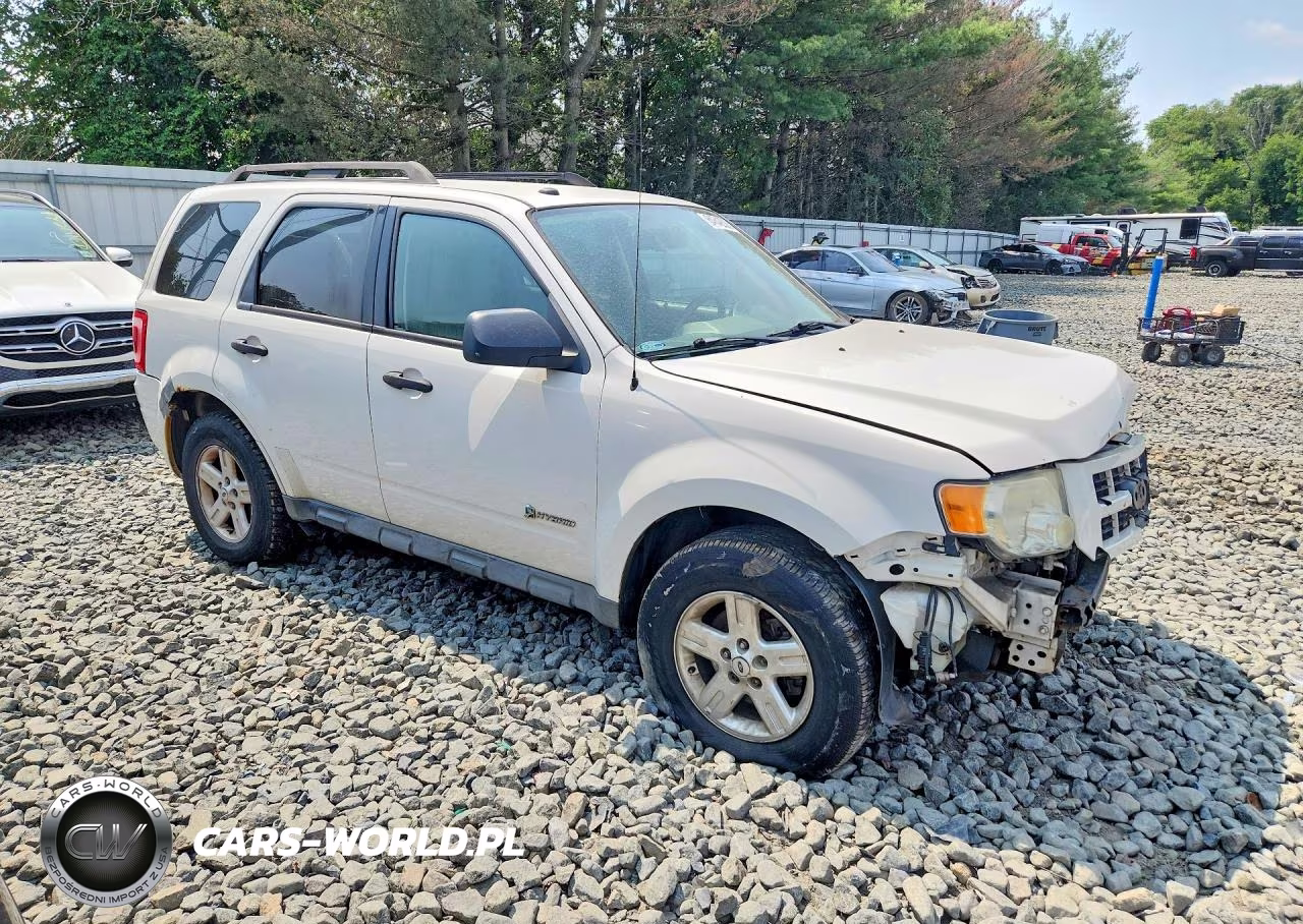 2009 Ford Escape Hybrid VIN:1FMCU493X9KB26093 - 4