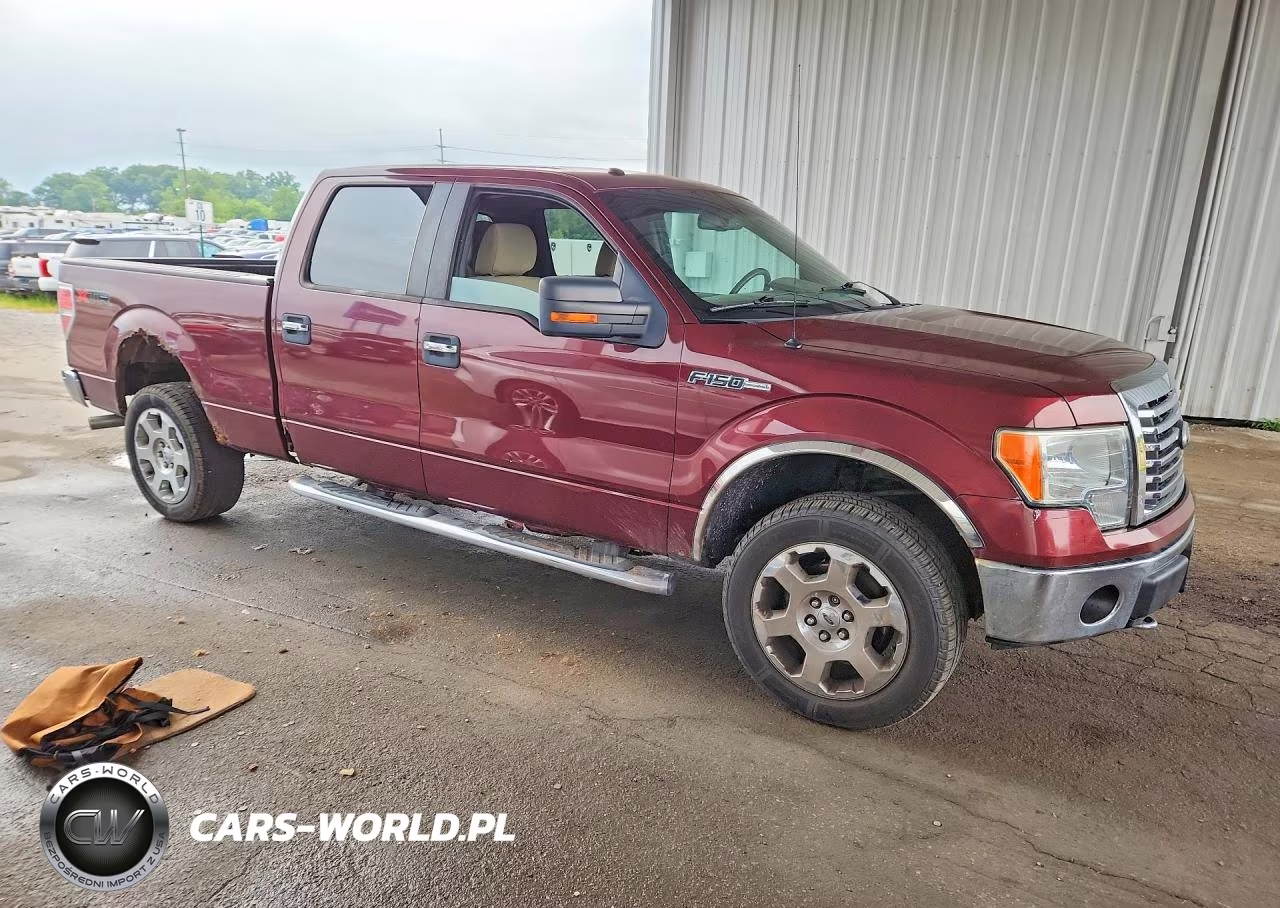 2010 Ford F150 Supercrew VIN:1FTFW1EV7AFC12380 - 4