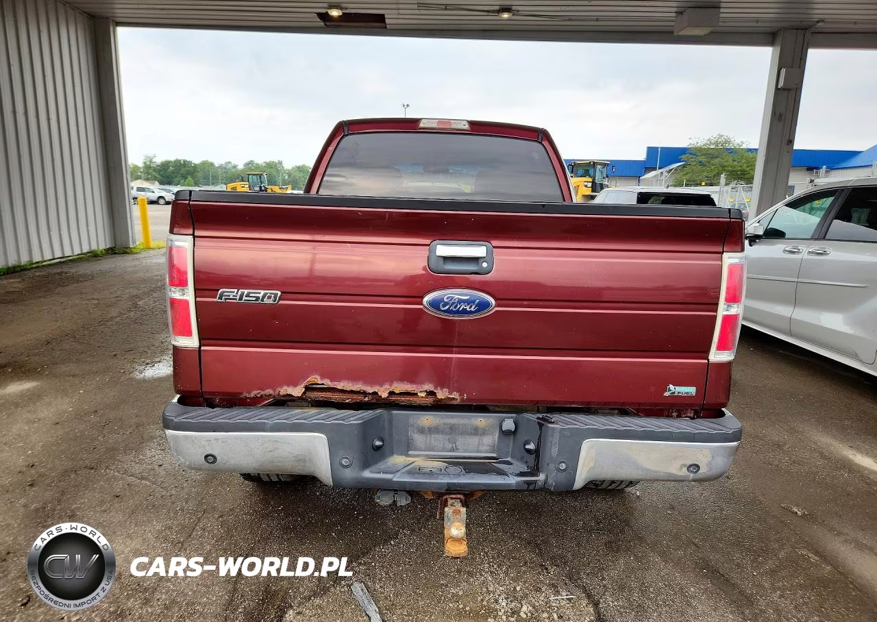 2010 Ford F150 Supercrew VIN:1FTFW1EV7AFC12380 - 6